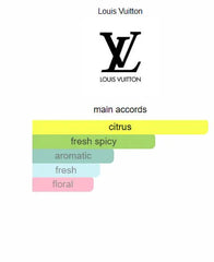 Symphony Louis Vuitton – Unisex