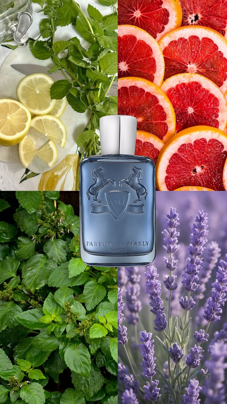 Sedley de Marly Eau de Parfum
