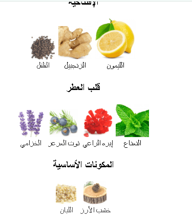 Y أو فريش - إيف سان لوران