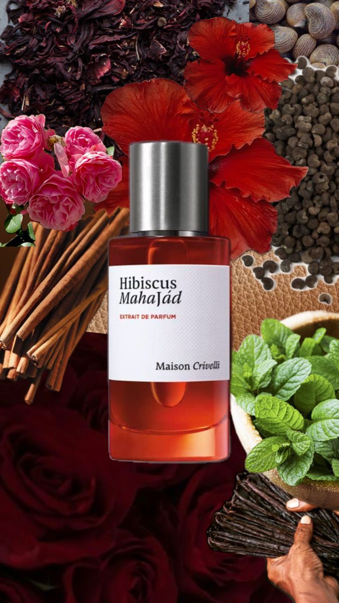 Hibiscus Mahajád by Maison Crivelli