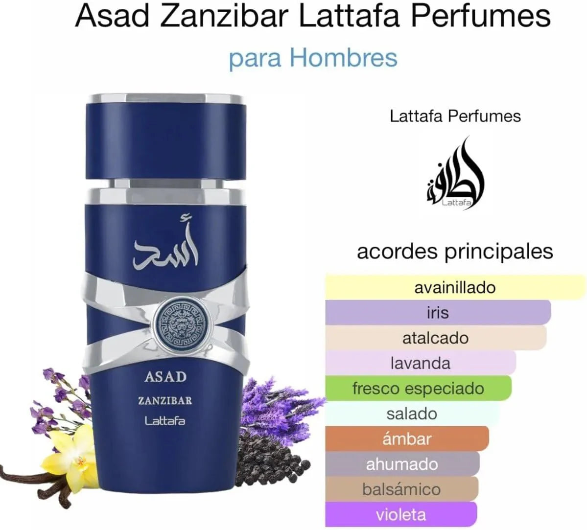 Lattafa Asad Zanzibar EDP – Men – Soly Perfumes