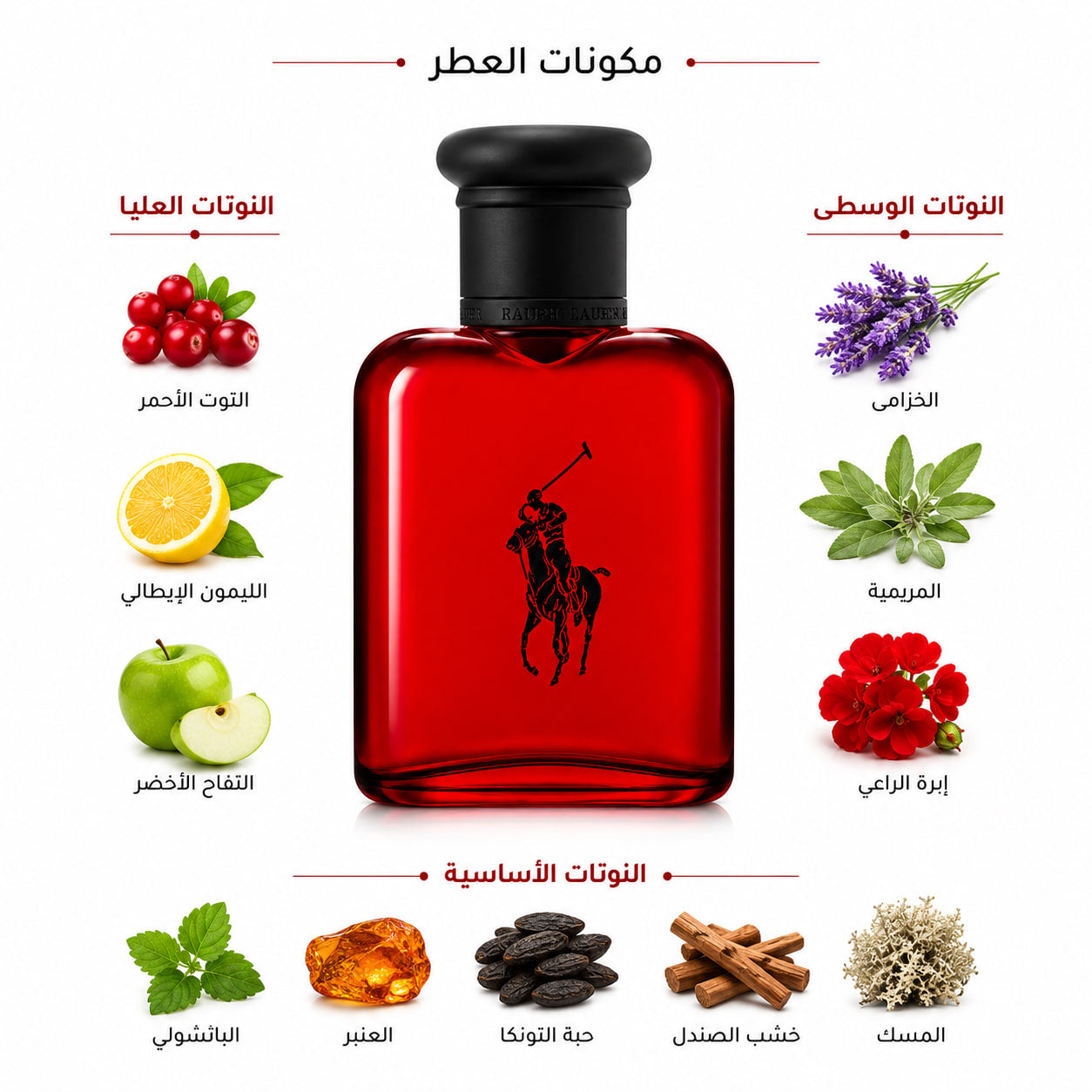 Ralph Lauren Polo Red additional view